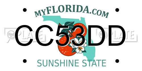 CC53DD Florida License Plate