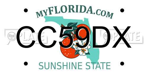 CC59DX Florida License Plate