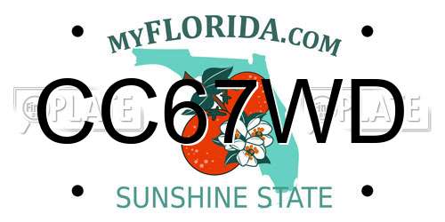 CC67WD Florida License Plate