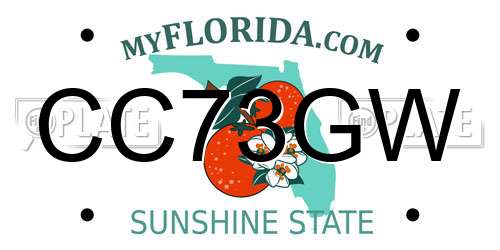 CC73GW Florida License Plate