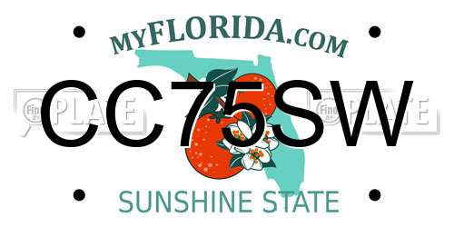 CC75SW Florida License Plate