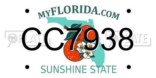 CC7938 Florida License Plate