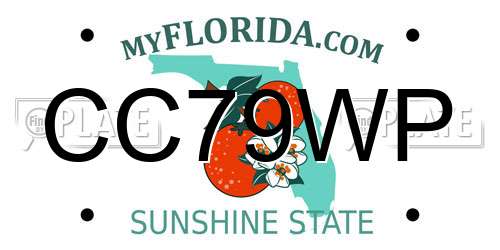CC79WP Florida License Plate