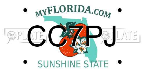 CC7PJ Florida License Plate