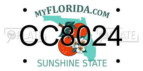 CC8024 Florida License Plate