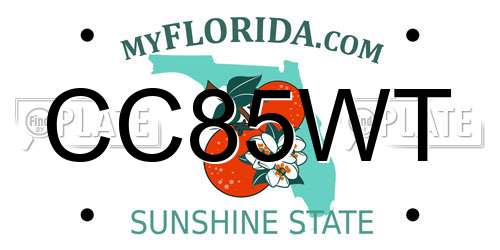 CC85WT Florida License Plate