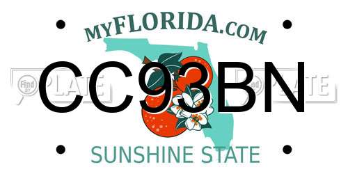 CC93BN Florida License Plate