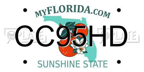 CC95HD Florida License Plate