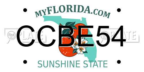 CCBE54 Florida License Plate