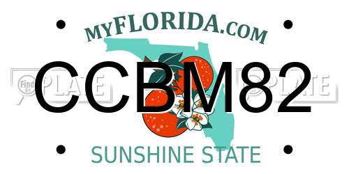 CCBM82 Florida License Plate