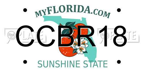 CCBR18 Florida License Plate