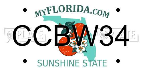 CCBW34 Florida License Plate