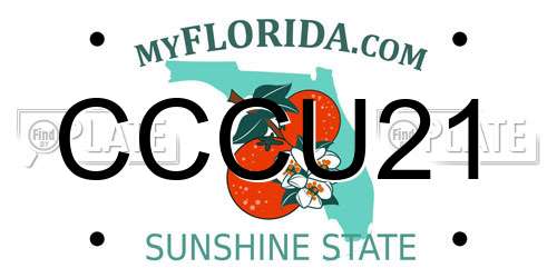 CCCU21 Florida License Plate