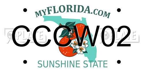 CCCW02 Florida License Plate