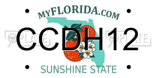 CCDH12 Florida License Plate
