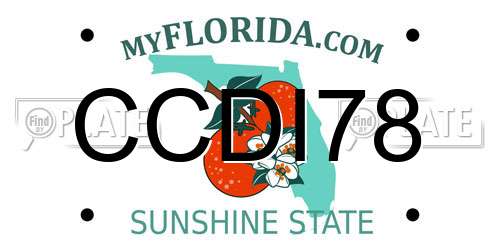 CCDI78 Florida License Plate