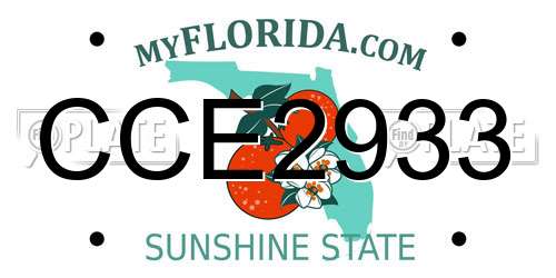 CCE2933 Florida License Plate