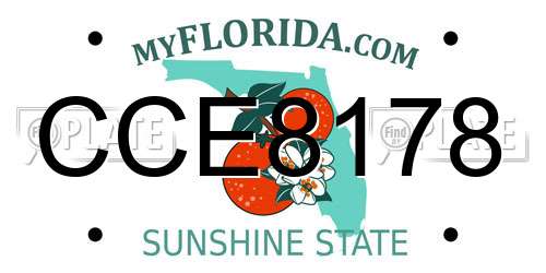 CCE8178 Florida License Plate