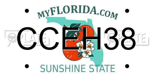 CCEH38 Florida License Plate