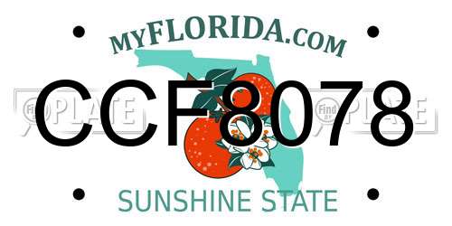 CCF8078 Florida License Plate