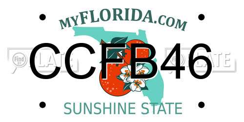 CCFB46 Florida License Plate
