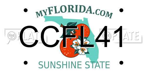 CCFL41 Florida License Plate