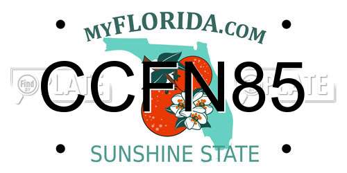 CCFN85 Florida License Plate