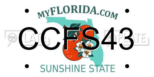 CCFS43 Florida License Plate