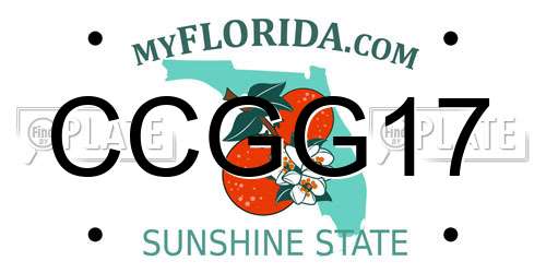 CCGG17 Florida License Plate