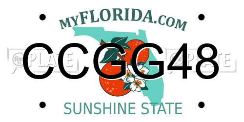 CCGG48 Florida License Plate