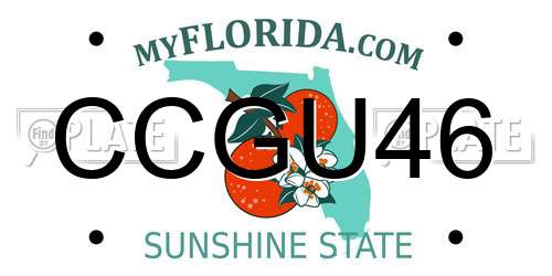 CCGU46 Florida License Plate