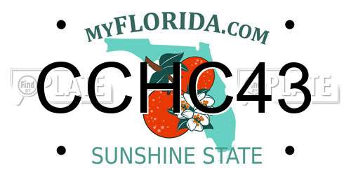 CCHC43 Florida License Plate