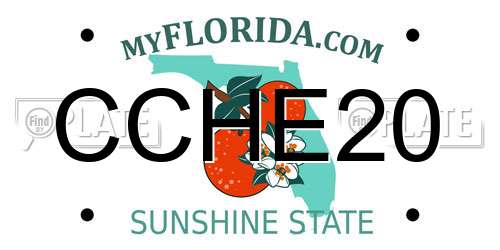 CCHE20 Florida License Plate