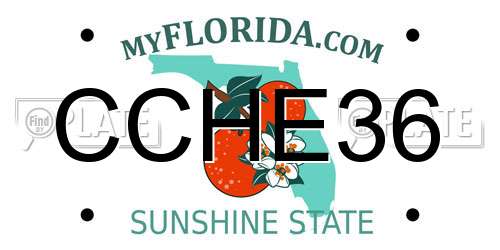CCHE36 Florida License Plate