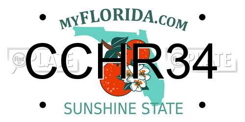 CCHR34 Florida License Plate