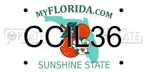 CCIL36 Florida License Plate