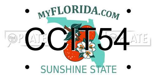 CCIT54 Florida License Plate