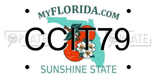 CCIT79 Florida License Plate