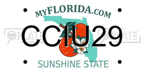 CCIU29 Florida License Plate