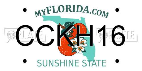 CCKH16 Florida License Plate