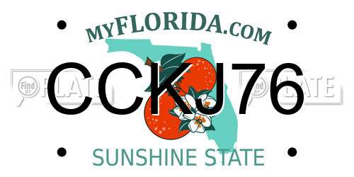 CCKJ76 Florida License Plate