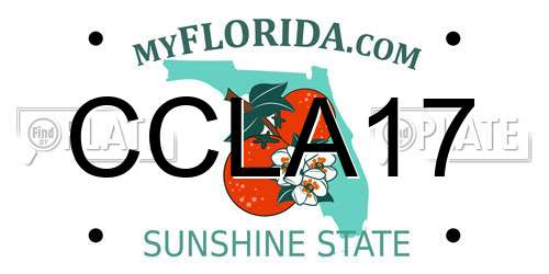CCLA17 Florida License Plate
