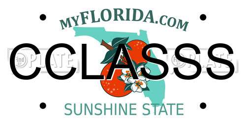 CCLASSS Florida License Plate