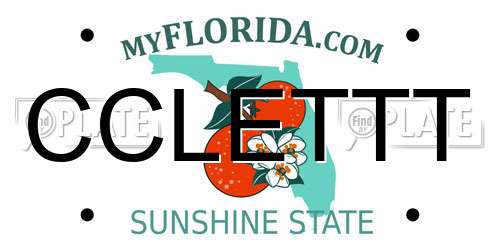 CCLETTT Florida License Plate
