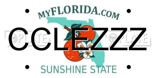 CCLEZZZ Florida License Plate