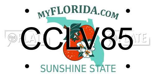 CCLV85 Florida License Plate