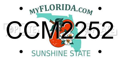 CCM2252 Florida License Plate