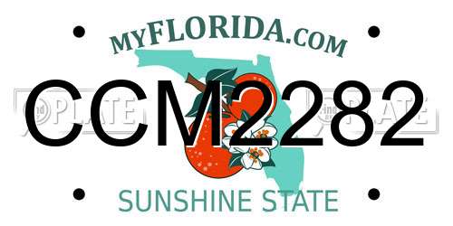 CCM2282 Florida License Plate