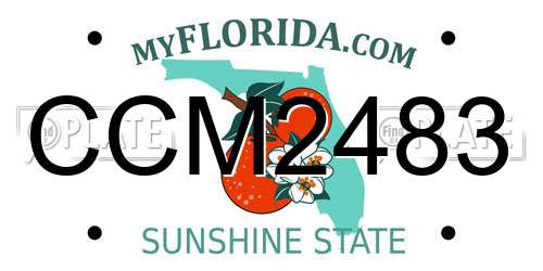 CCM2483 Florida License Plate