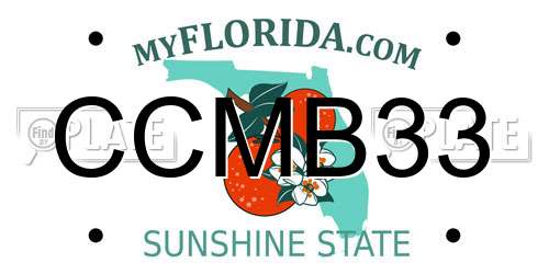 CCMB33 Florida License Plate